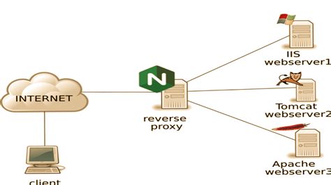Application Request Routing (ARR) for IIS 7 and above. . Vite behind reverse proxy